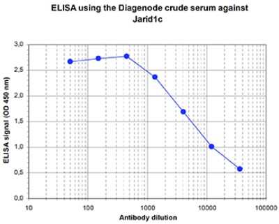 ELISA: SMCX Antibody [NBP3-18659]